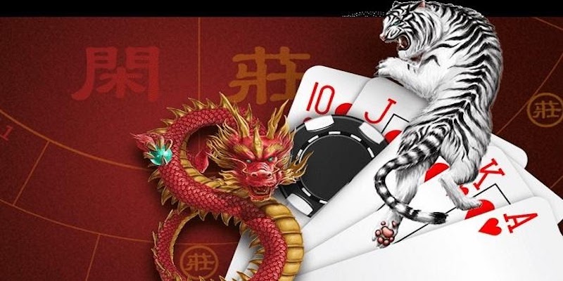เคล็ดลับการพัฒนาทักษะการเล่น Dragon Tiger Funny888 อย่างมืออาชีพ